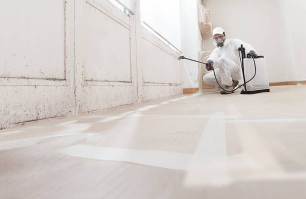 24/7 Emergency Mold Removal experts in Linden, VA