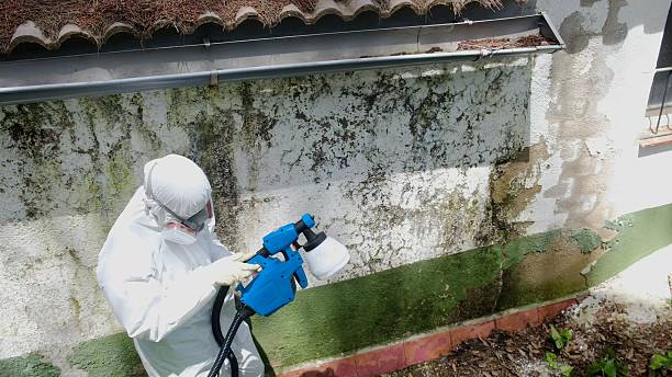 Top rated local Mold Remediation specialists in Linden, VA